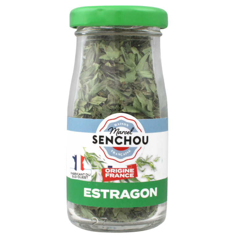 ESTRAGON 6G