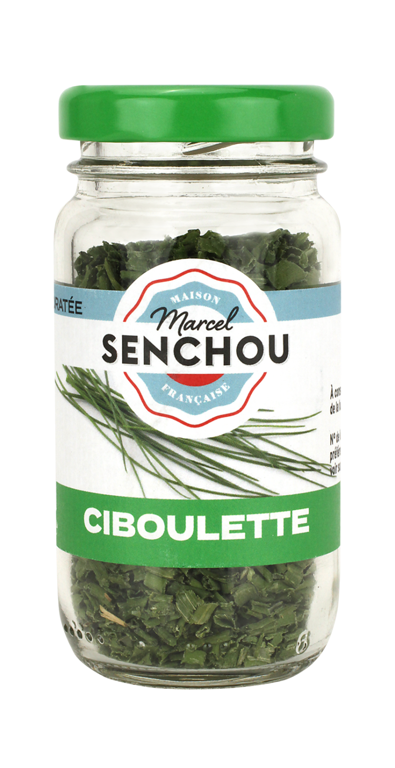 CIBOULETTE 6G