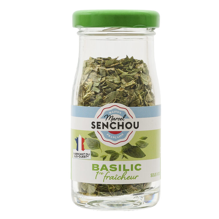 BASILIC 1ÈRE FRAÎCHEUR