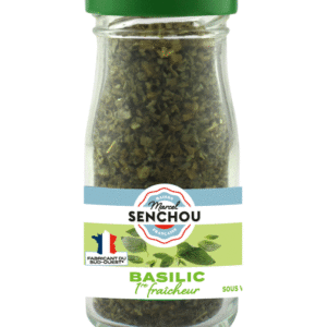 BASILIC 1ÈRE FRAÎCHEUR